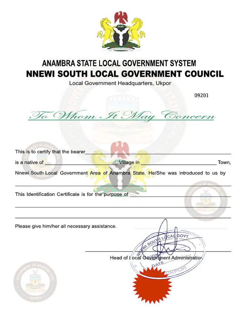 Nnewi South Local Government Certificate